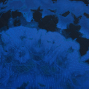 72_7030bc1c-c4f9-41be-886d-da4cb72a6567.png